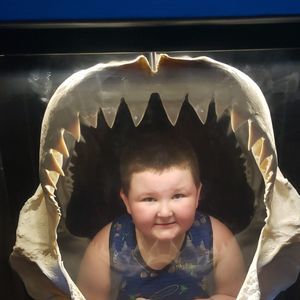 Meet your Posher, Shae holmes